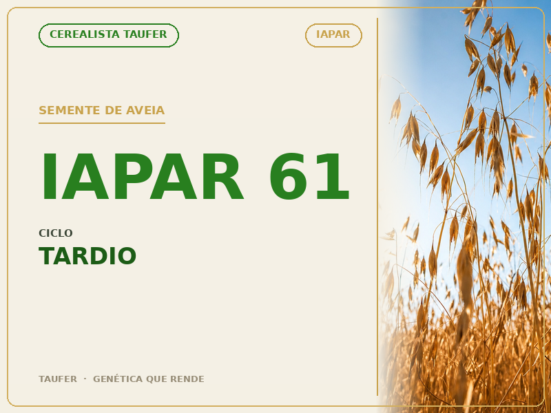 Semente de Aveia Preta IAPAR 61