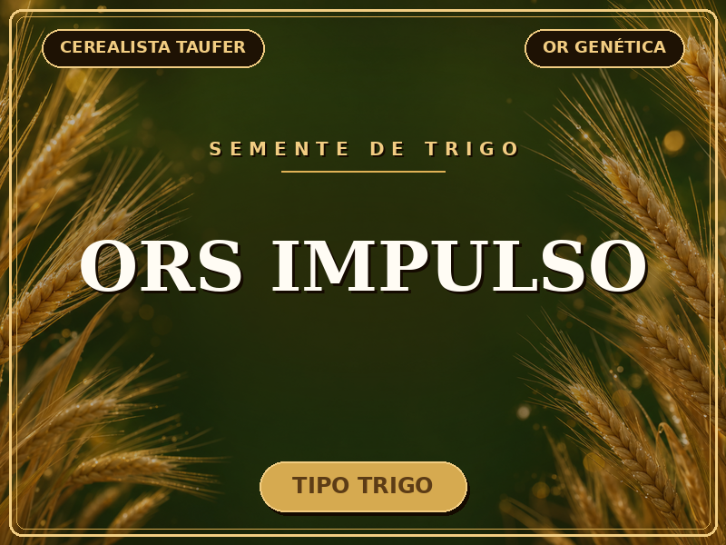 Semente de Trigo ORS Impulso