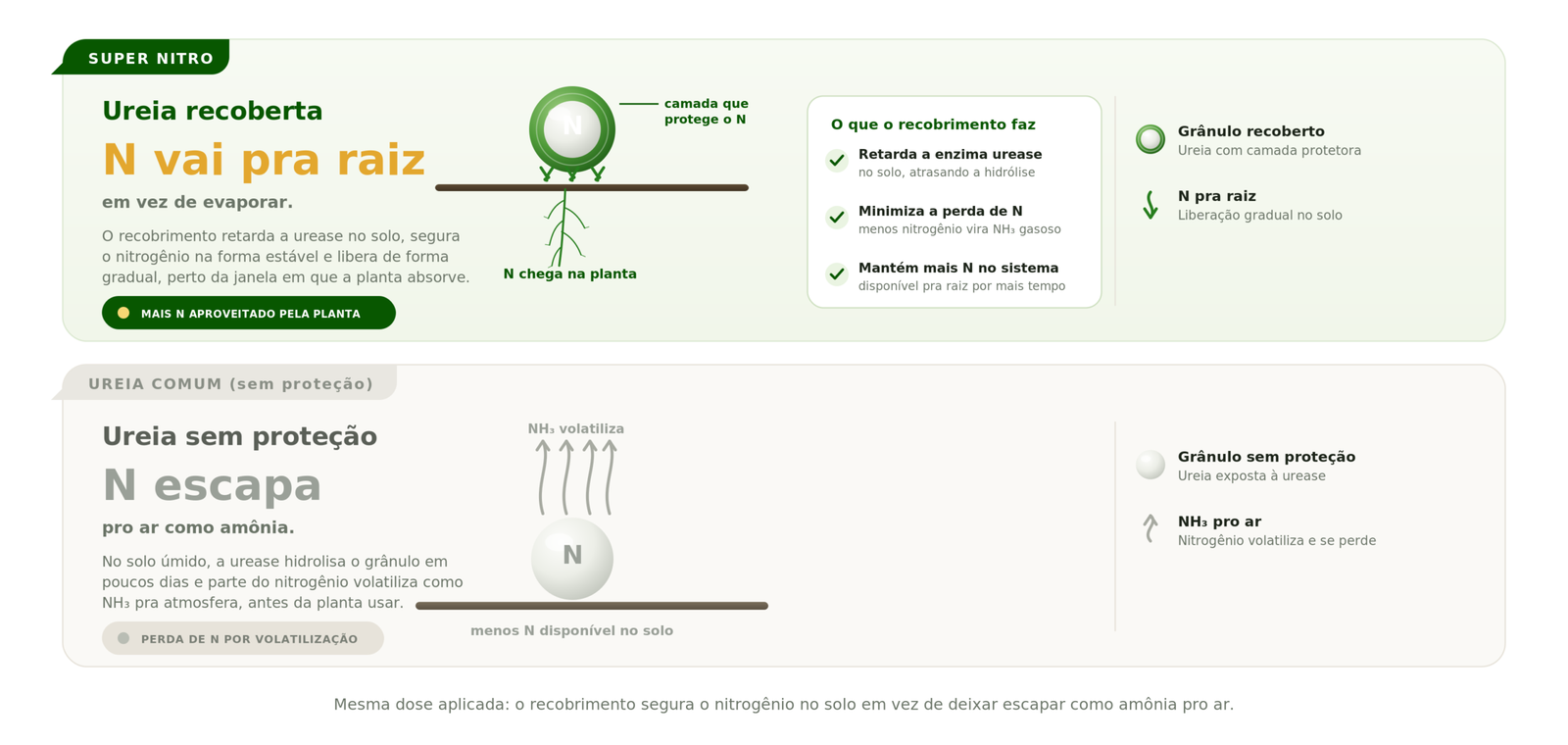 Infografico comparando ureia recoberta Super Nitro com ureia comum e perda de nitrogenio por volatilizacao